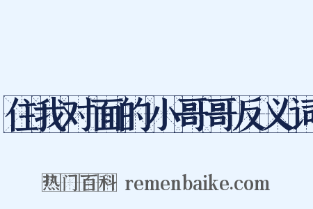 住我对面的小哥哥反义词是什么意思的图片